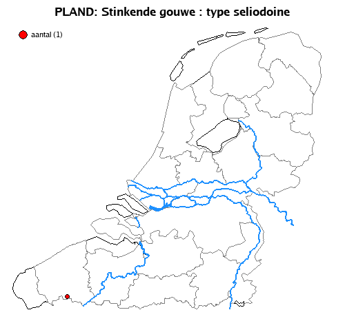 seliodoine